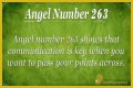 263 Angel Number Meaning - Pulptastic