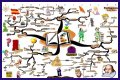 An Interpretation of Shakespeare's Comic Tools