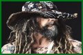 
                    Rob Zombie
                     – 
                    Thunder Kiss '65 lyrics
                